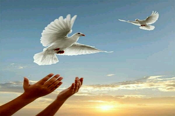 بخشش ۴ محکوم به قصاص با تلاش شورای حل اختلاف استان گیلان