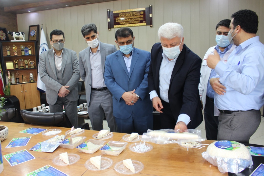 فاز اول تولید پنیر سیاهمزگی شرکت پگاه گیلان رونمایی شد