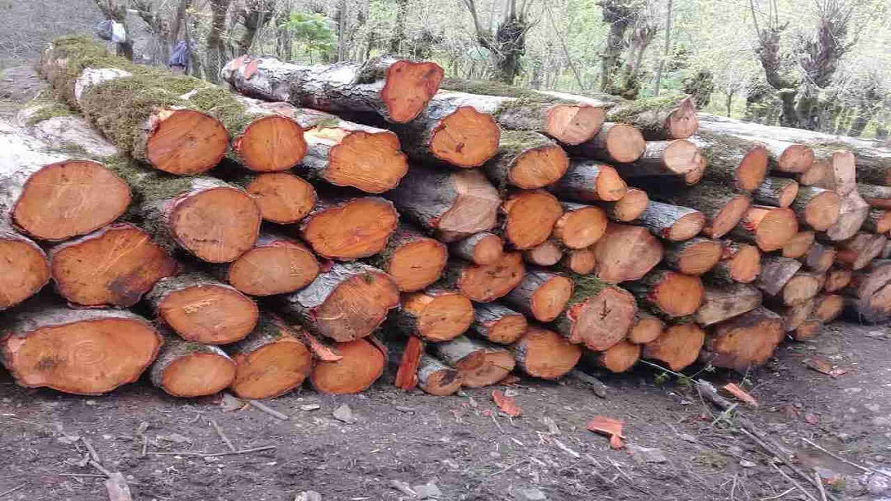 کشف محموله چوب قاچاق توسکا در آستارا