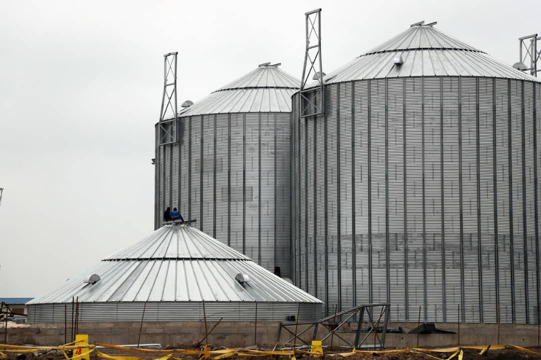 هزار و چهارصد تن غله فاسد وارداتی در انزلی به الکل تبدیل می شود