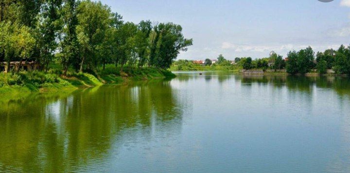 تالاب عینک رشت ،بزرگ ترین تالاب شهری ایران در حال خشک شدن است