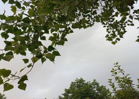 دمای گیلان ۳ تا ۵ درجه کاهش می یابد