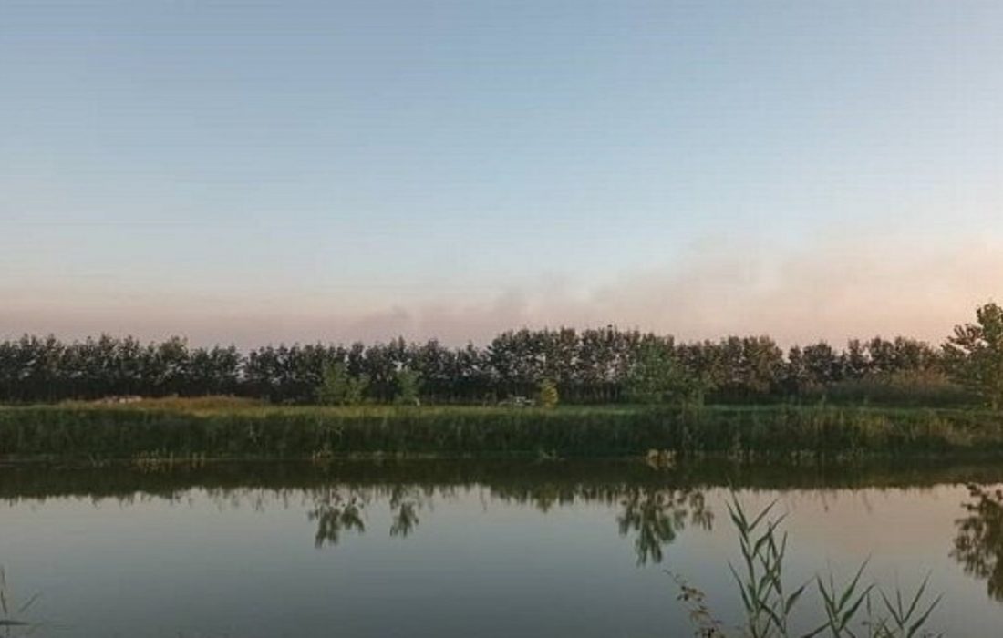 آتش سوزی تالاب انزلی مهار شد