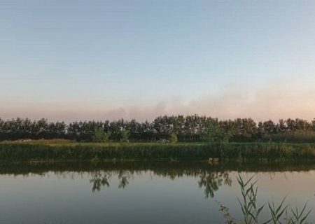 آتش سوزی تالاب انزلی مهار شد