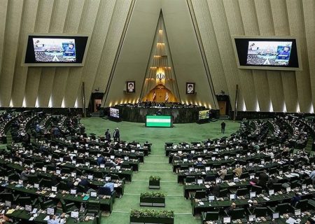 اگر مجلس به جای تصویب لایحه حمایت از حقوق زنان، مشغول رسیدگی به مجارات نگهداری سگ و گربه نمی شد، کار به اینجا نمی کشید