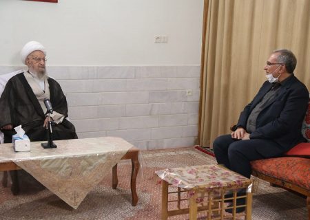 با فشار نمی‌توان مسأله حجاب و کمبود جمعیت را حل کرد