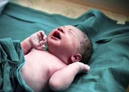 تولد بیش از ۹۰۰ نوزاد در گیلان