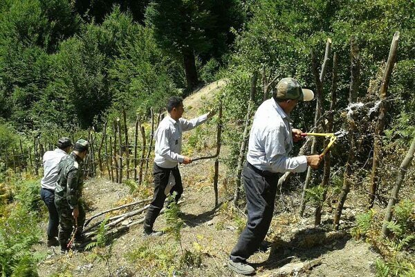 رفع تصرف ۳۹۴ هکتار از زمین‌های منابع طبیعی در گیلان