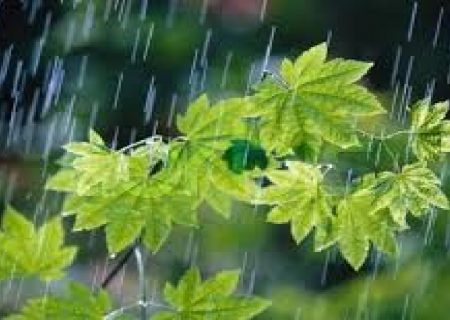 کاهش ۸ تا ۱۰ درجه دمای هوای گیلان