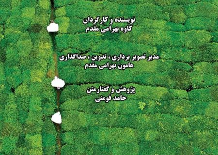 مستند پرتره شیون فومنی”، منتخب هجدهمین جشنواره بین المللی فیلم مستند ایران” سینما حقیقت