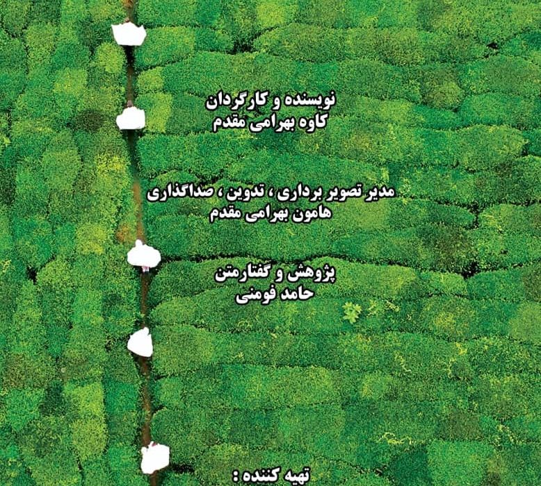 مستند پرتره شیون فومنی”، منتخب هجدهمین جشنواره بین المللی فیلم مستند ایران” سینما حقیقت