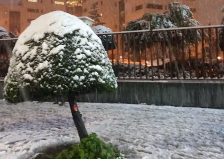 به دلیل یخبندان، تمام مدارس و دانشگاه ها و ادارات گیلان فردا تعطیل شد