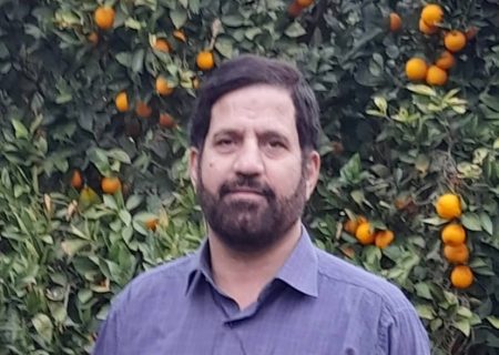 تجلی شعائر دولت در عملکرد نوروزی منطقه آزاد انزلی