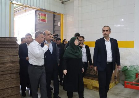 بازدید سخنگوی دولت و استاندار گیلان از واحدهای تولیدی در منطقه آزاد انزلی