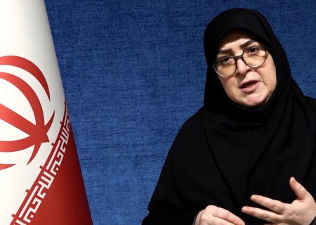 دولت به استرداد لایحه فضای مجازی رای داد