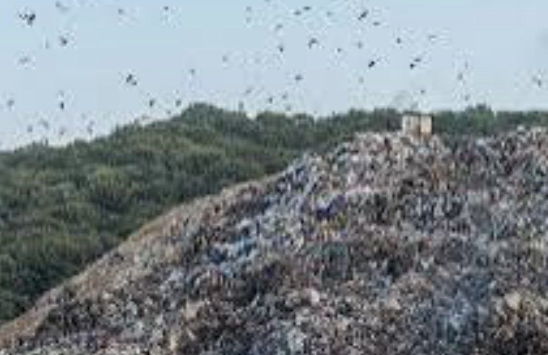 دو گزارش از دو بازدید کاملا متفاوت طی دو سال از «سایت زباله سراوان»
