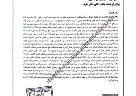 هشدار نماینده مجلس نسبت به انحلال سازمان چای کشور: تکرار تجربه تلخ گذشته تهدیدی جدی برای صنعت چای و کشاورزان شمال