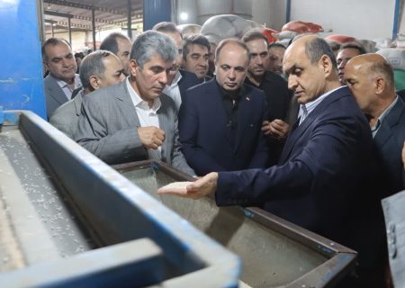 حمایت از تولید داخلی؛ اولویت اصلی دولت چهاردهم در بخش کشاورزی
