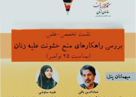 نشست تخصصی بررسی راهکارهای منع خشونت علیه زنان(بمناسبت ۲۵ نوامبر)