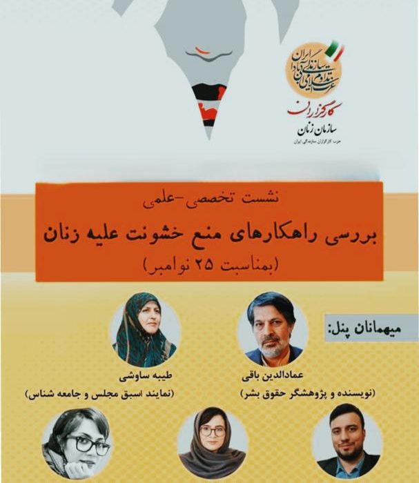 نشست تخصصی بررسی راهکارهای منع خشونت علیه زنان(بمناسبت ۲۵ نوامبر)