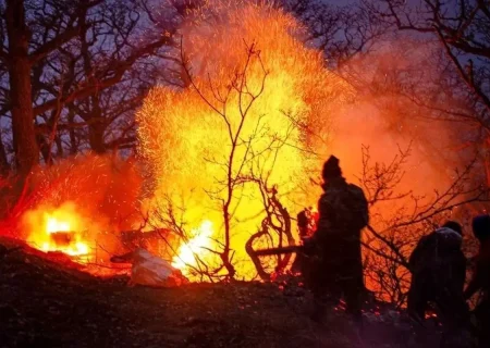 ۱۵ هکتار از جنگل‌های هیرکانی در آتش  سوخت