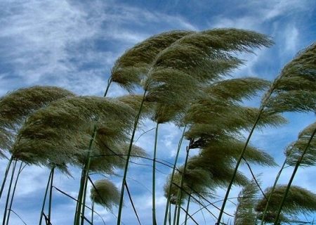 وزش باد گرم در گیلان تا سه شنبه ادامه دارد