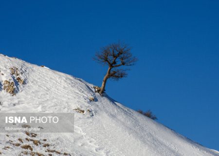 برف و کولاک در راه گیلان/ وزش باد جنوبی مورد انتظار است