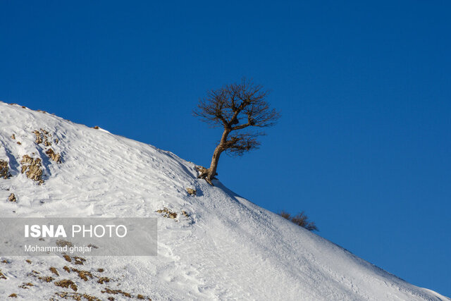 برف و کولاک در راه گیلان/ وزش باد جنوبی مورد انتظار است