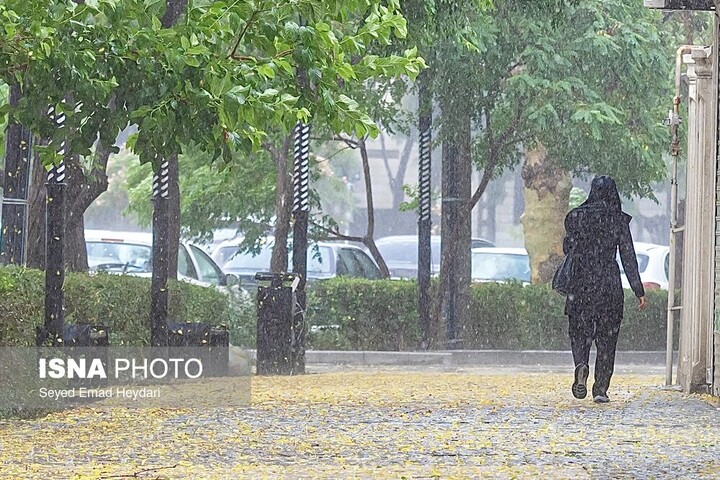 رگبار باران در ۱۳ استان/ وزش باد شدید تا ۹ استان