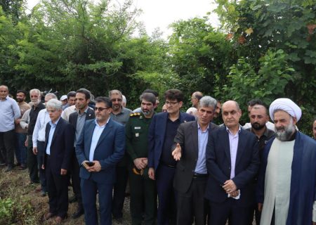 برداشت امید از شالیزارهای گیلان؛ از جهش بهره‌وری تا افق‌های تازه در گردشگری و تجارت خارجی