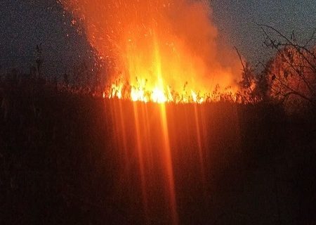 مهار آتش‌سوزی در تالاب بین‌المللی امیرکلایه/آتش‌سوزی حدود ۵۰۰ متر مربع از پوشش گیاهی تالاب بین‌المللی امیرکلایه