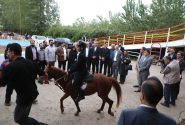 بیست‌ویكمین جشنواره زیبایی «اسب كاسپین» در باشگاه سواركاری تك‌تاز برگزار شد